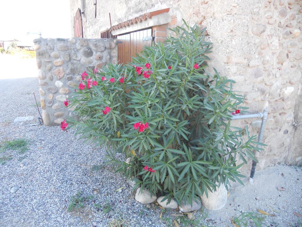 Agriturismo Le Mura Del Gherlo Βίλα Valeggio sul Mincio Εξωτερικό φωτογραφία